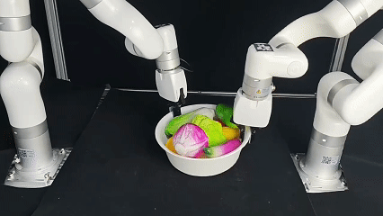 White bowl adaptation epoch 0
