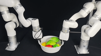 White bowl adaptation epoch 2