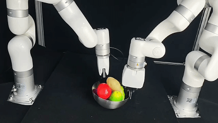 Metal bowl adaptation epoch 0